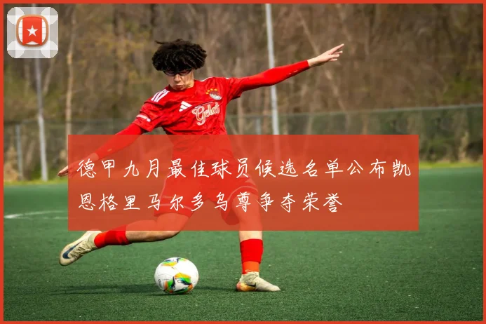 德甲九月最佳球员候选名单公布凯恩格里马尔多乌尊争夺荣誉