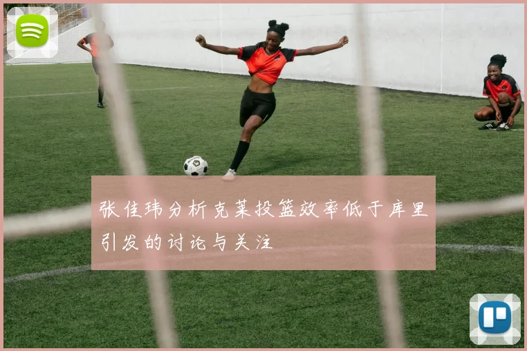 张佳玮分析克莱投篮效率低于库里引发的讨论与关注