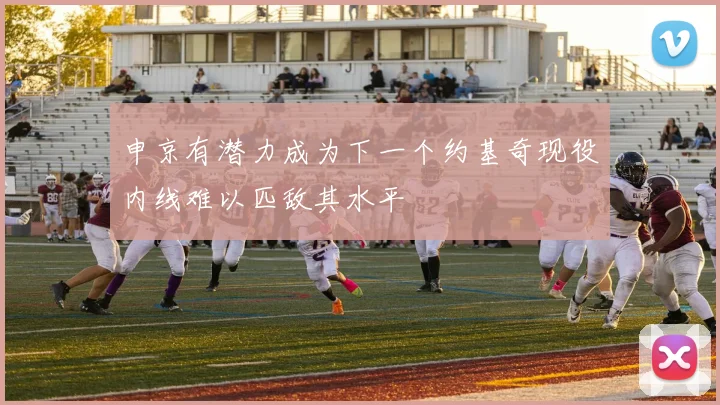 申京有潜力成为下一个约基奇现役内线难以匹敌其水平