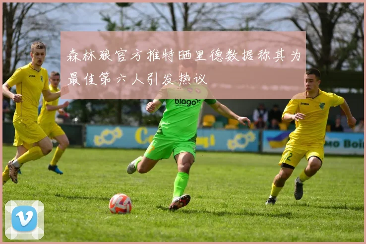 森林狼官方推特晒里德数据称其为最佳第六人引发热议