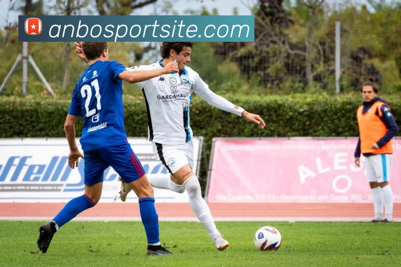 安博体育APP 封面图